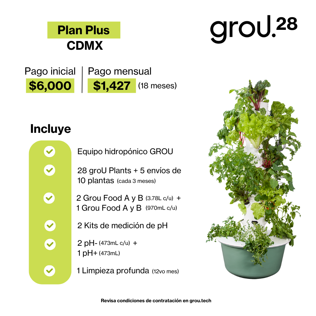 GROU 28 Financiado