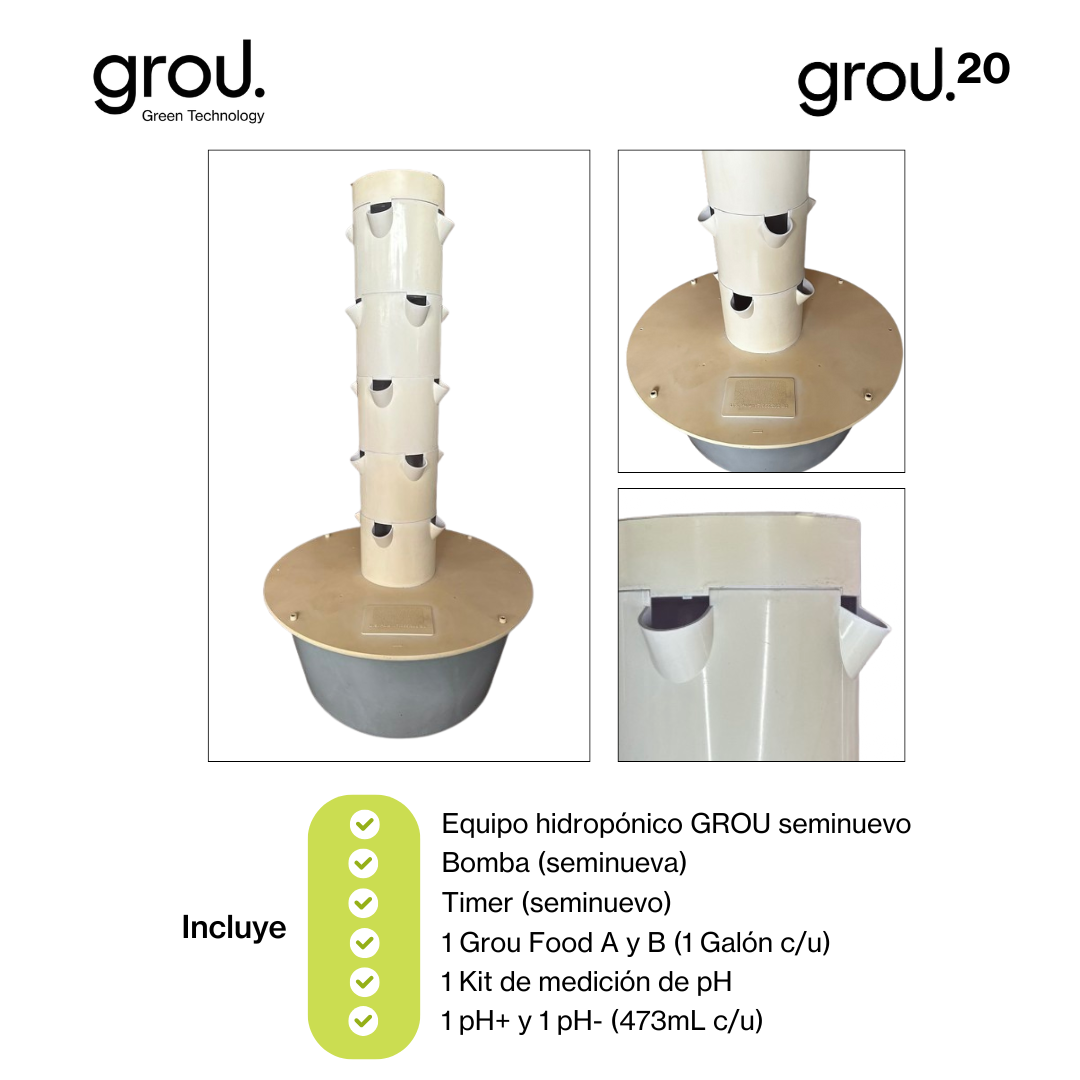 Grou 20 Seminueva