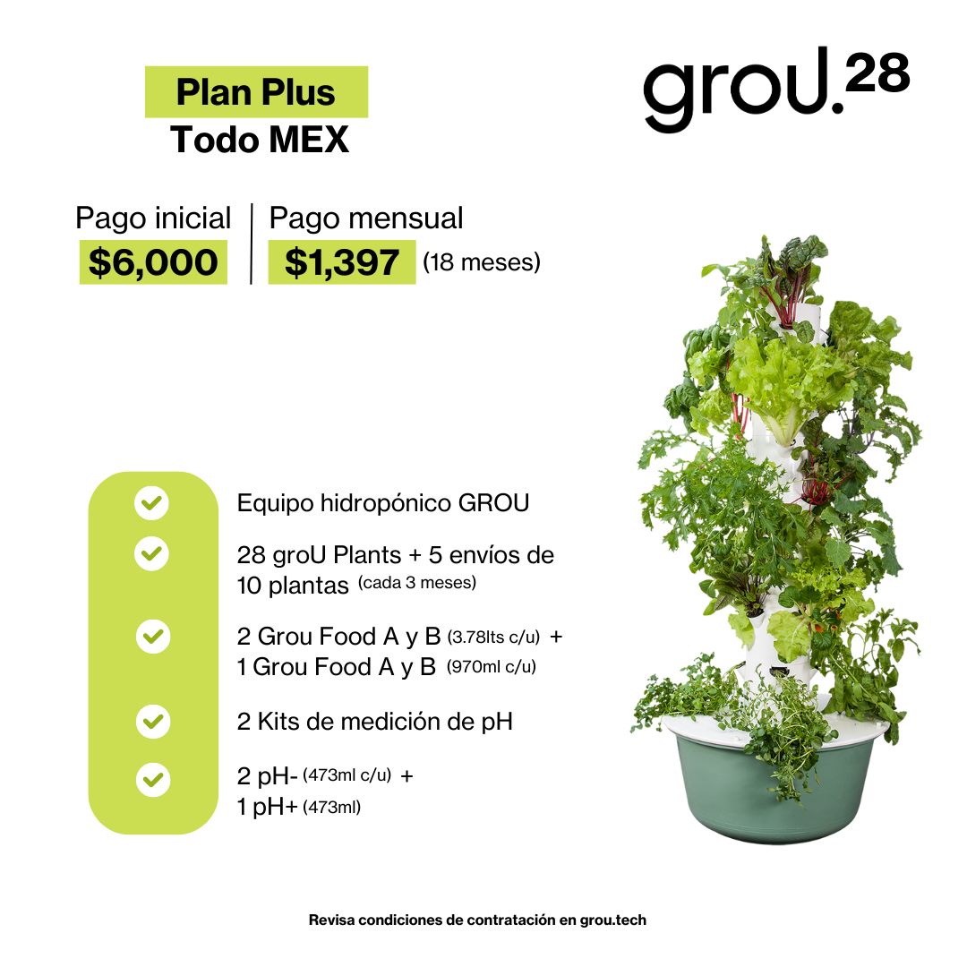 GROU 28 Financiado