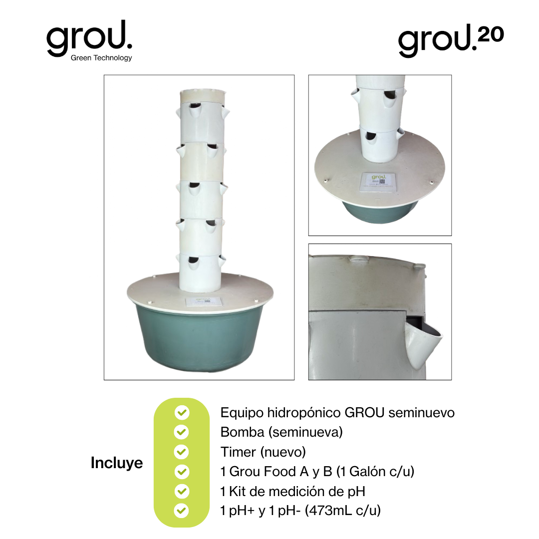 Grou 20 Seminueva