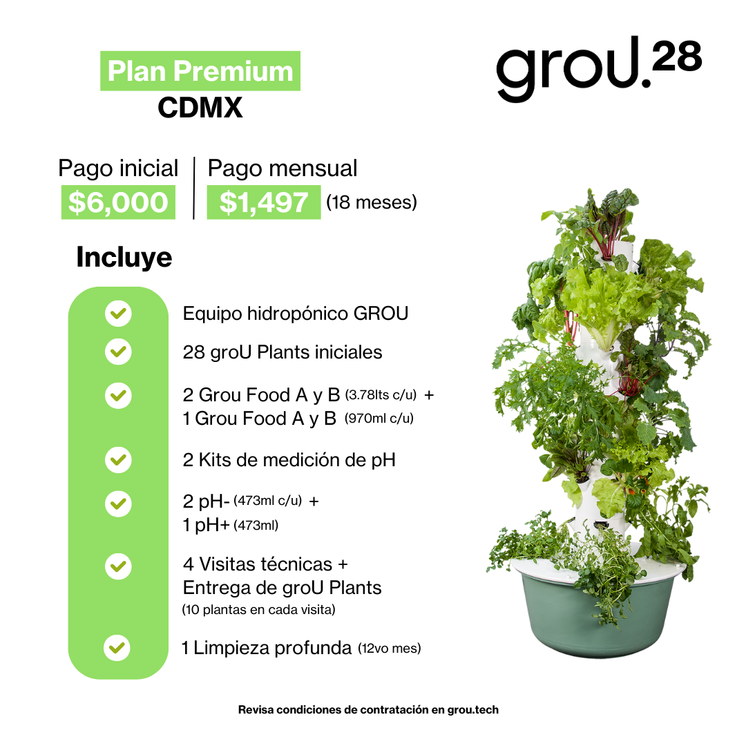GROU 28 Financiado