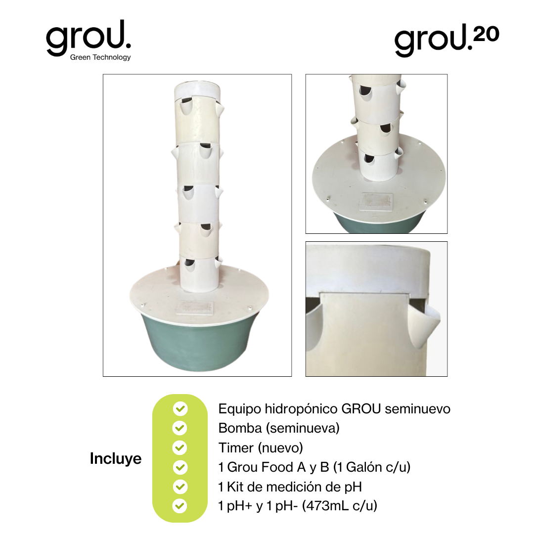 Grou 20 Seminueva