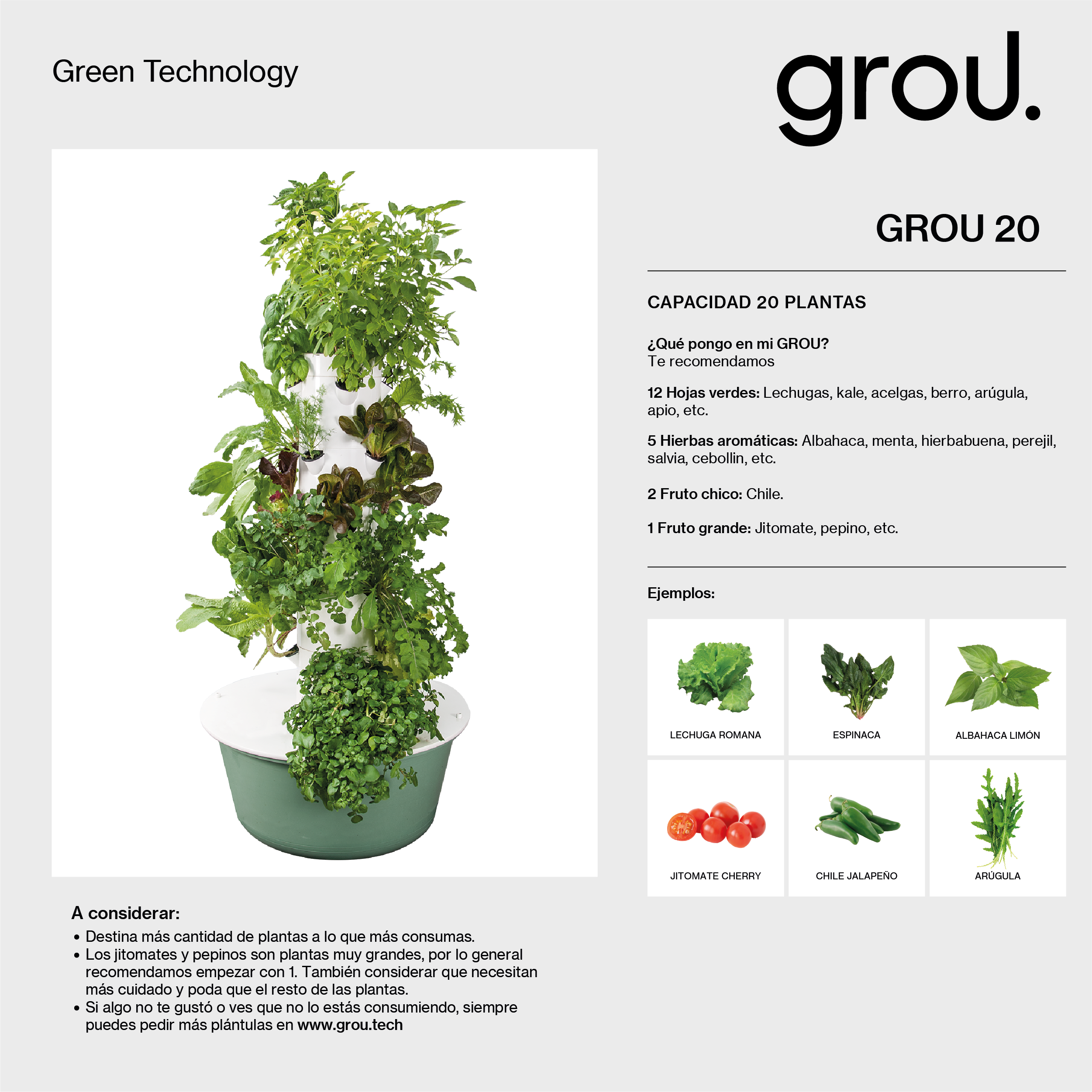 GROU 20 Contado Servicios opcionales