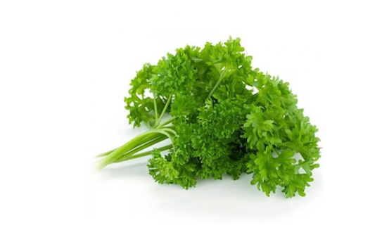 Perejil rizado