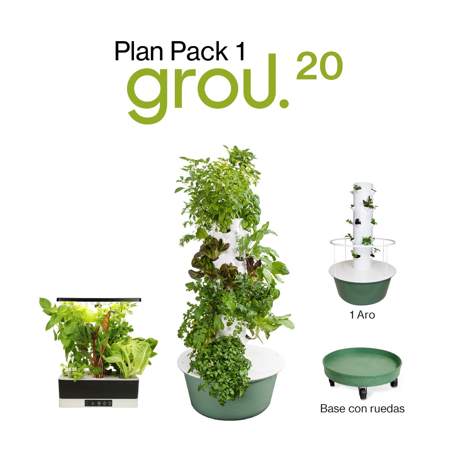 GROU 20 Contado con servicios