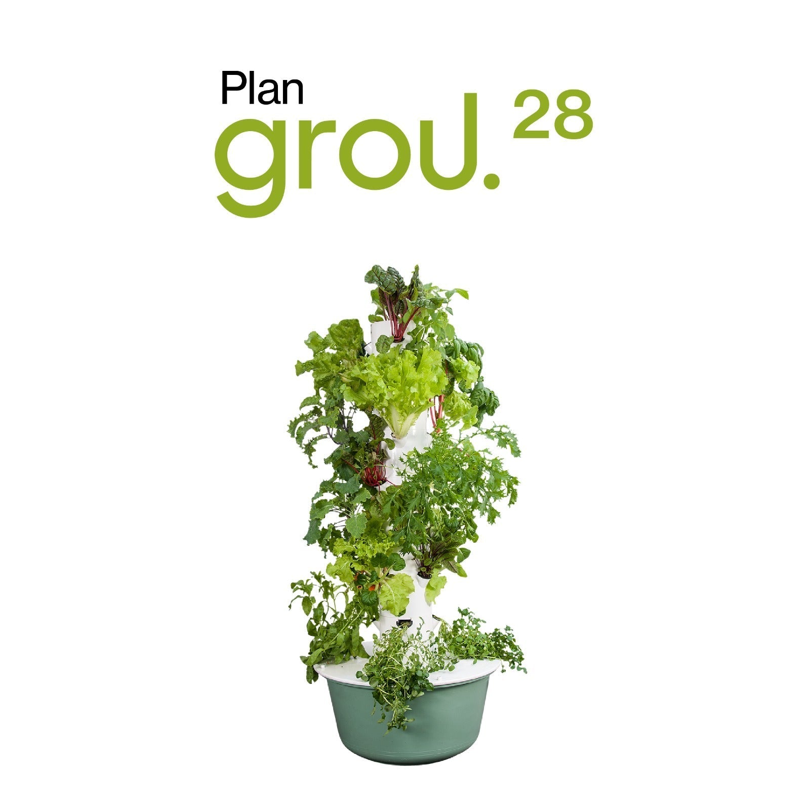 GROU exclusiva LOCAL 1/2 Torre