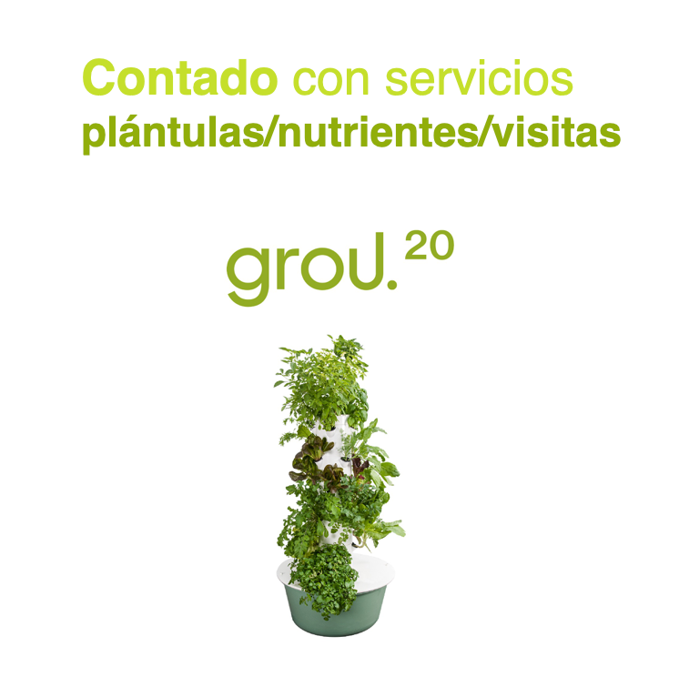 GROU 20 Contado con servicios