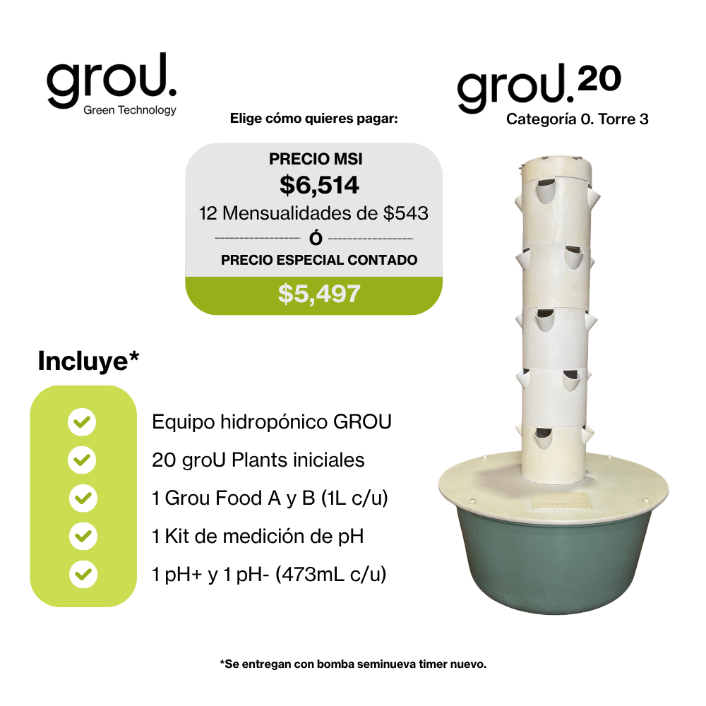 Grou 20 Seminueva