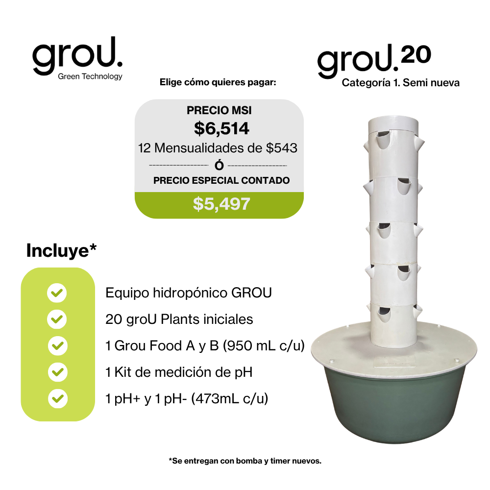Grou 20 Seminueva