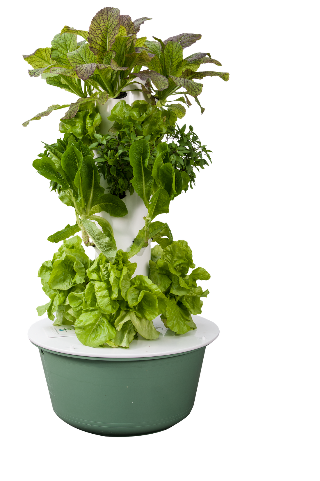 Renta de Grou para evento