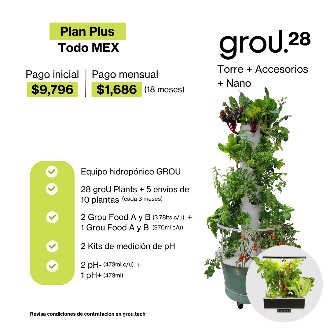 GROU 28 Financiado