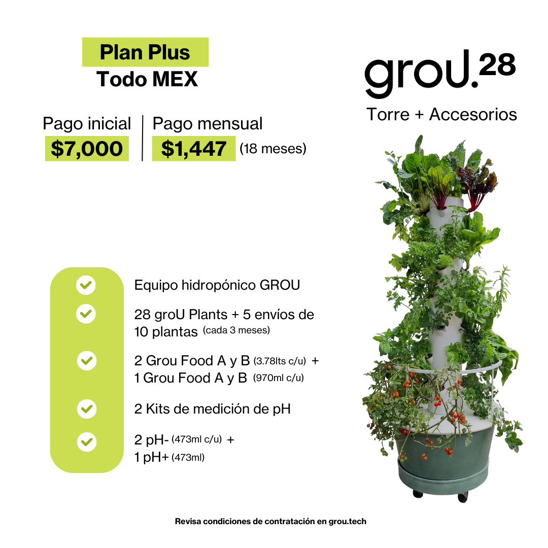 GROU 28 Financiado