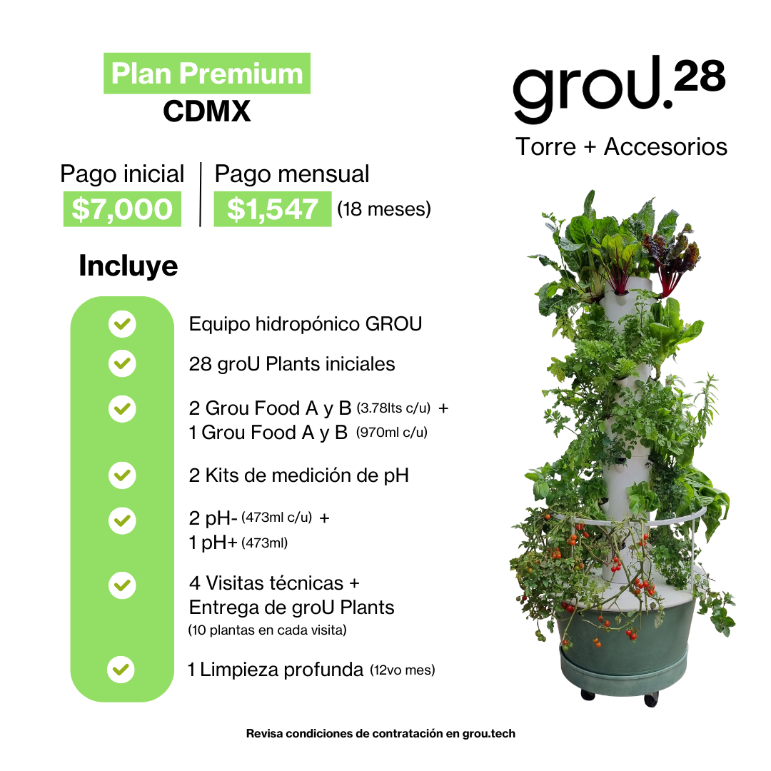 GROU 28 Financiado