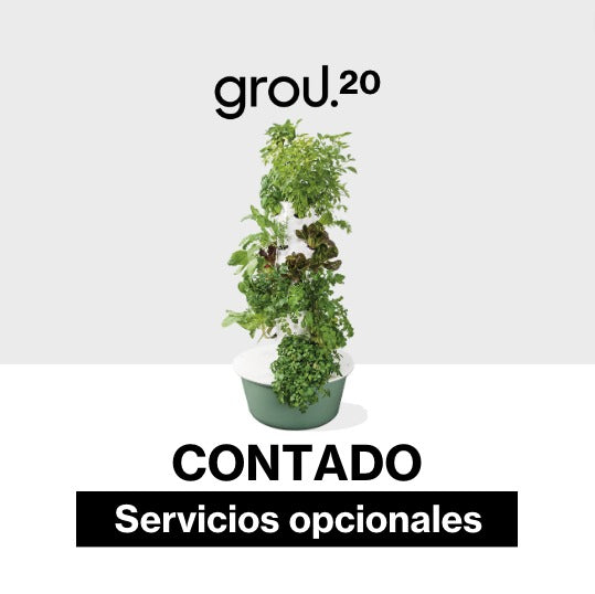 GROU 20 Contado Servicios opcionales