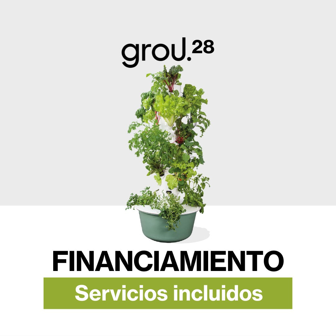 GROU 28 Financiado Servicios incluidos