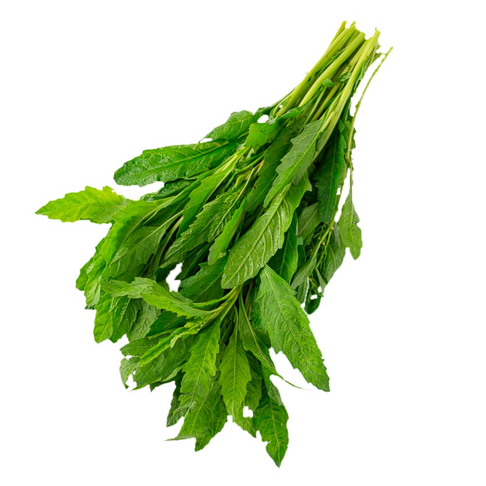 Epazote