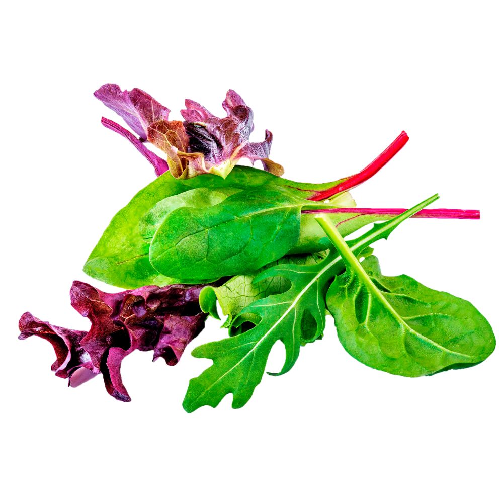 Lechuga 5 estrellas mix