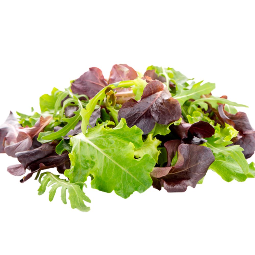 Lechuga encore