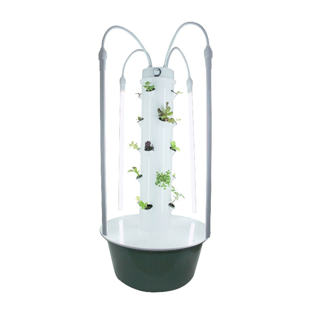 Luces LED