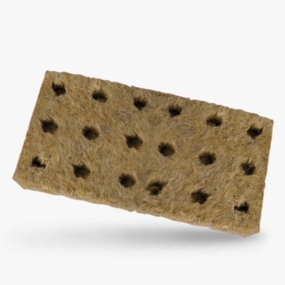 Semillero Lana Rocosa (98)