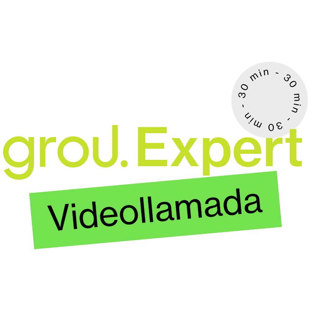 Videollamada Grou Expert