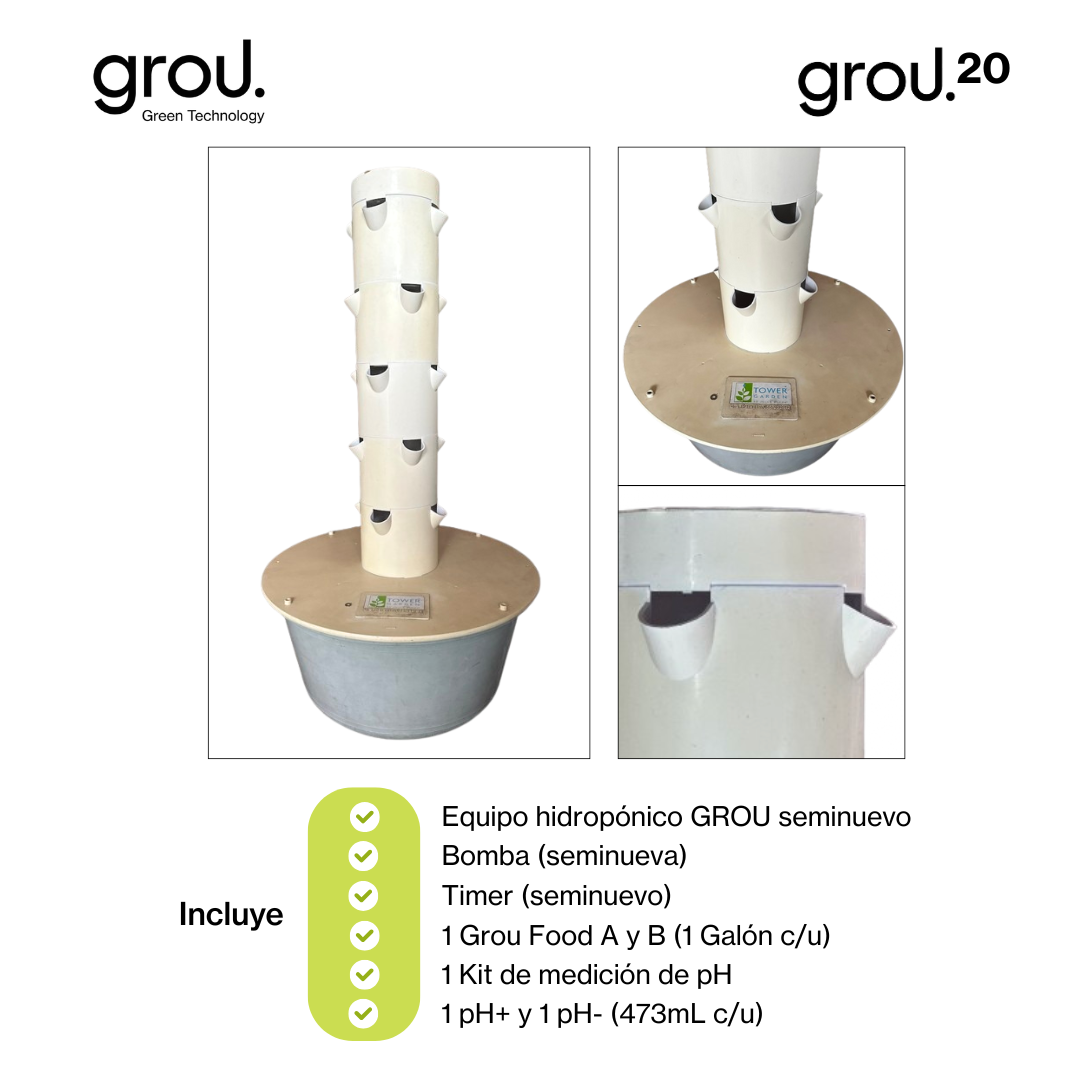 Grou 20 Seminueva