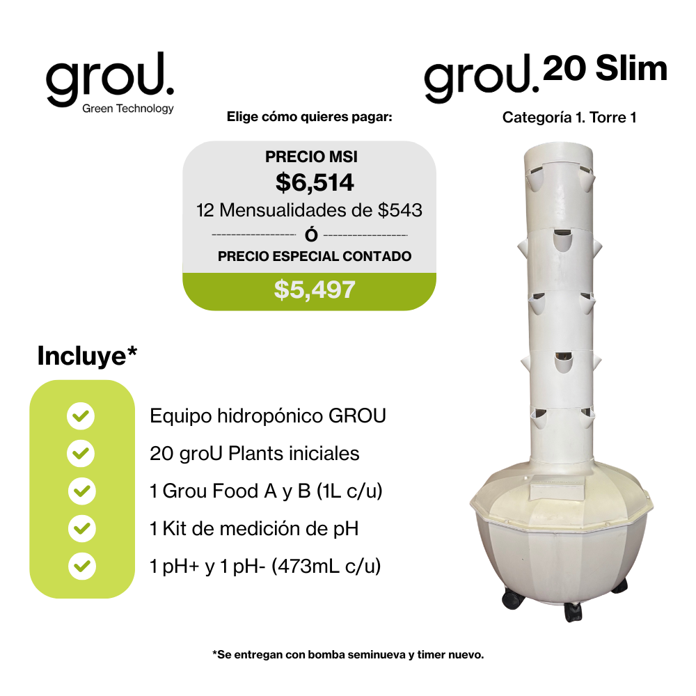 Grou 20 Seminueva