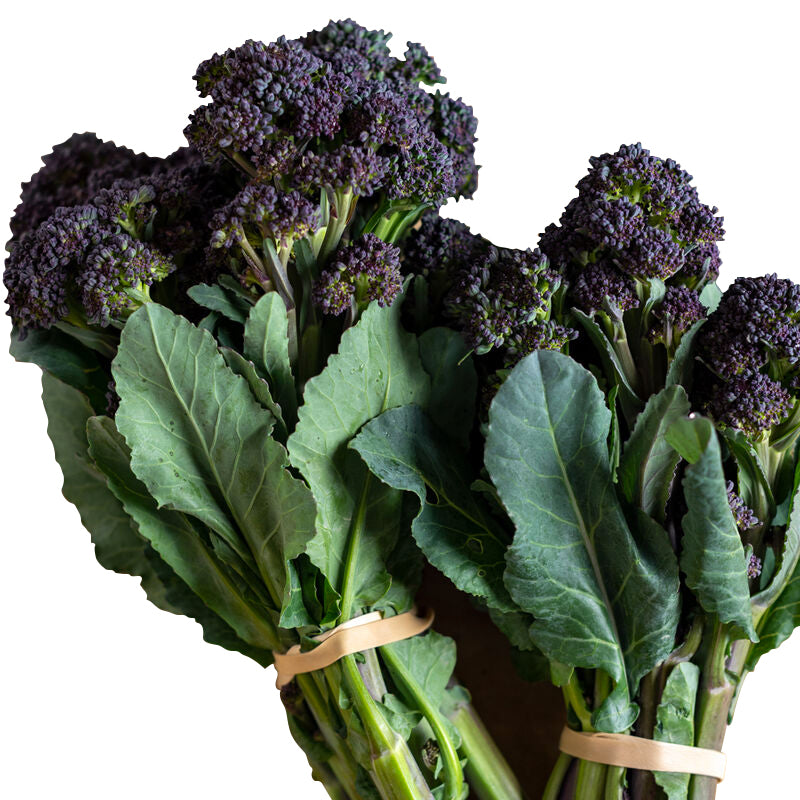 Brocoli Morado