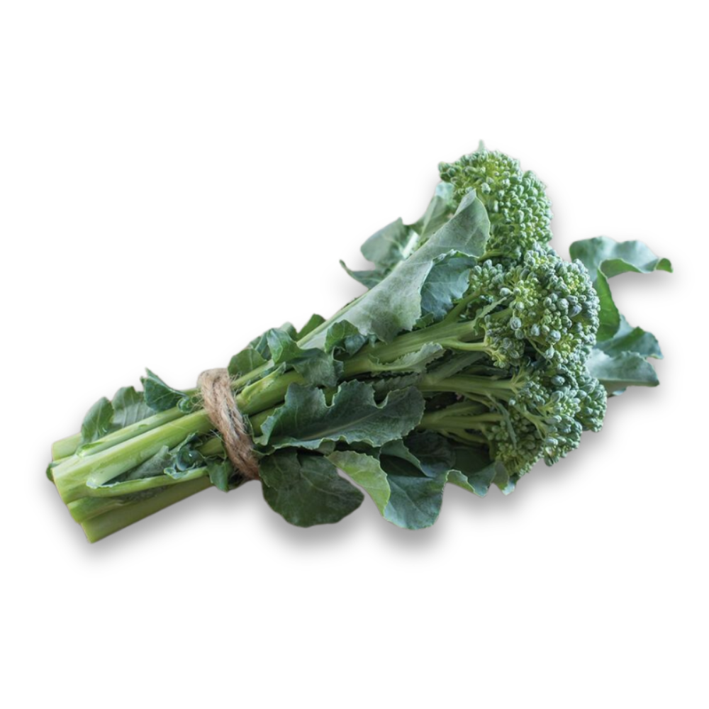 Brocoli de Cicco