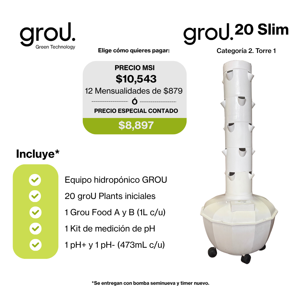 Grou 20 Seminueva