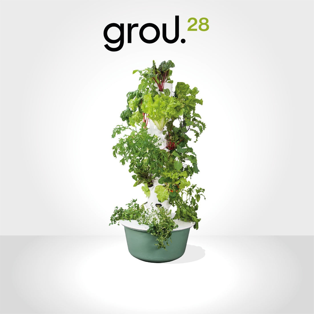 GROU. 28