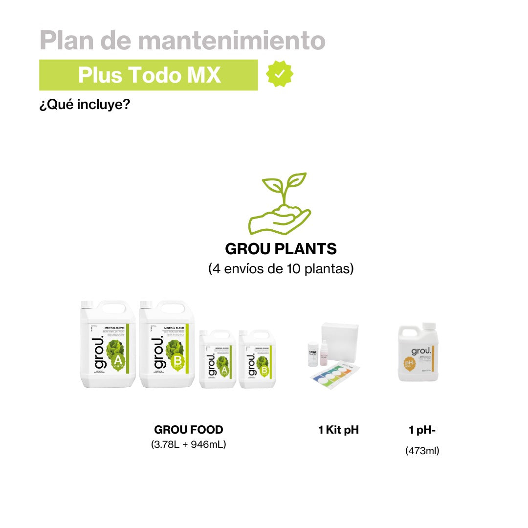 Plan Plus Todo Mex