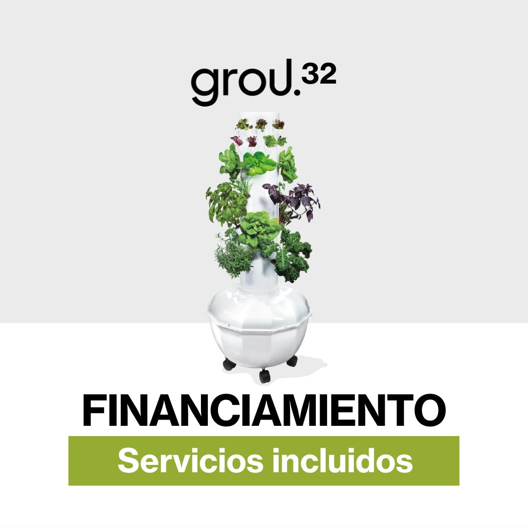 Grou 32 Financiado Servicios incluidos