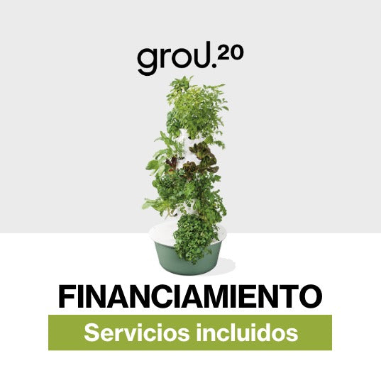 GROU 20 Financiado Servicios incluidos