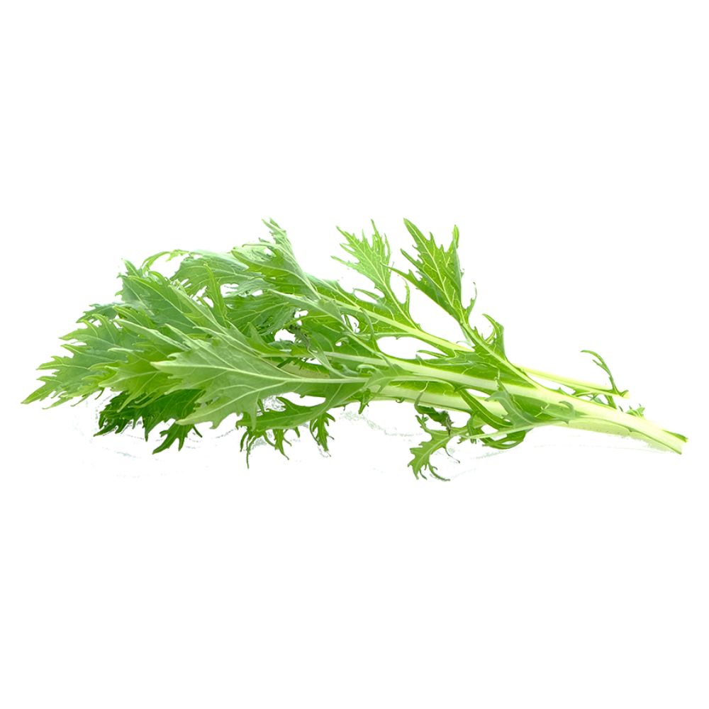 Mizuna