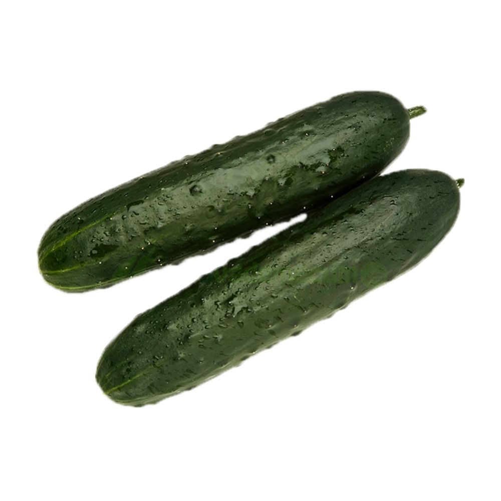 Pepino marketmore