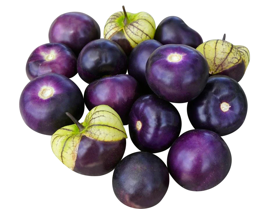 Tomate morado
