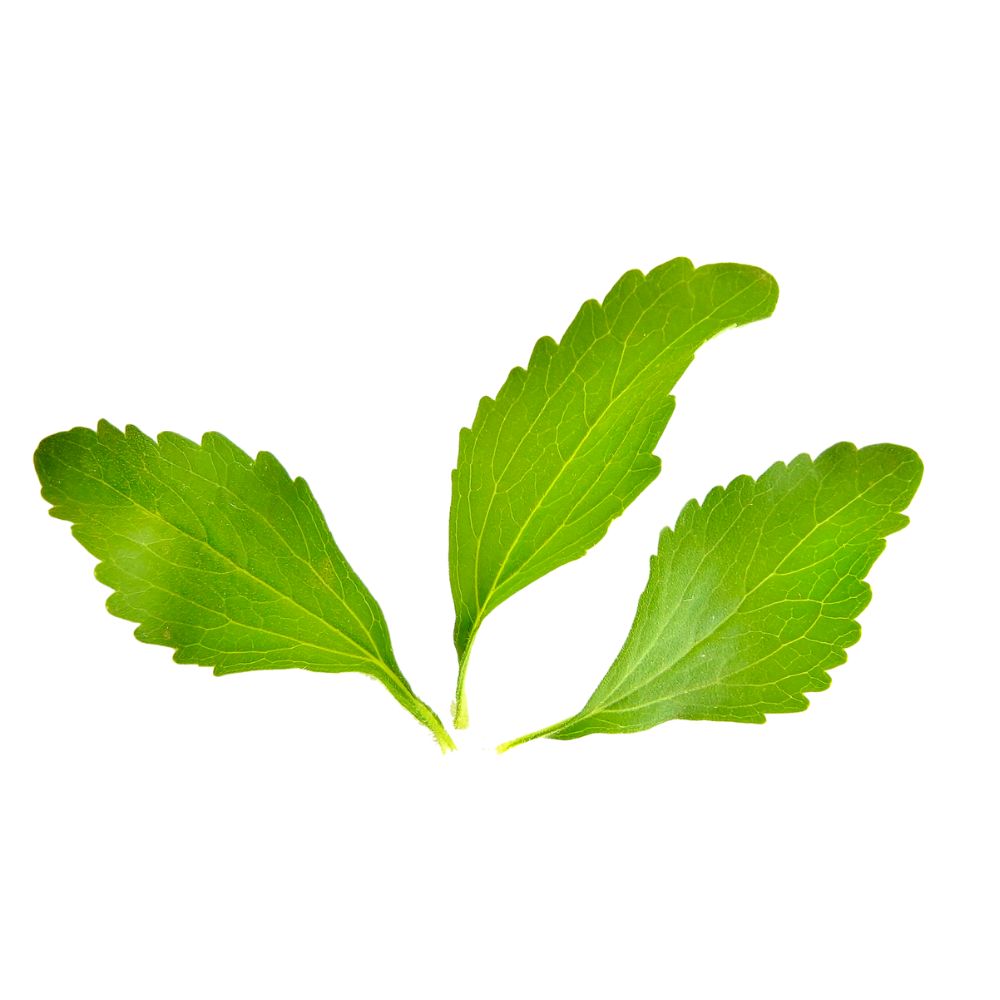 Stevia